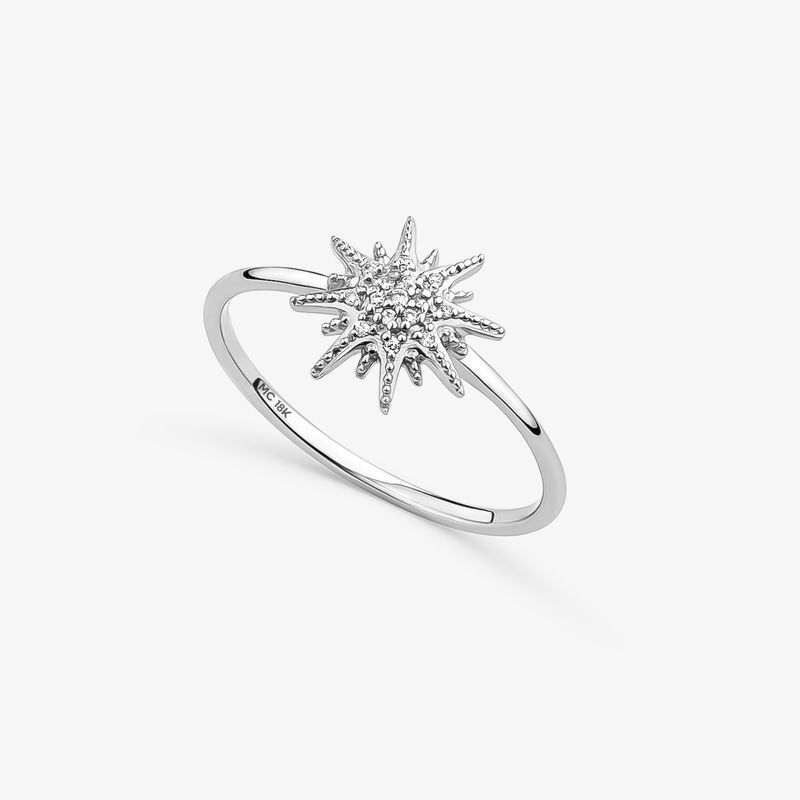 Anel Sonhar em Ouro Branco 18k com Diamantes