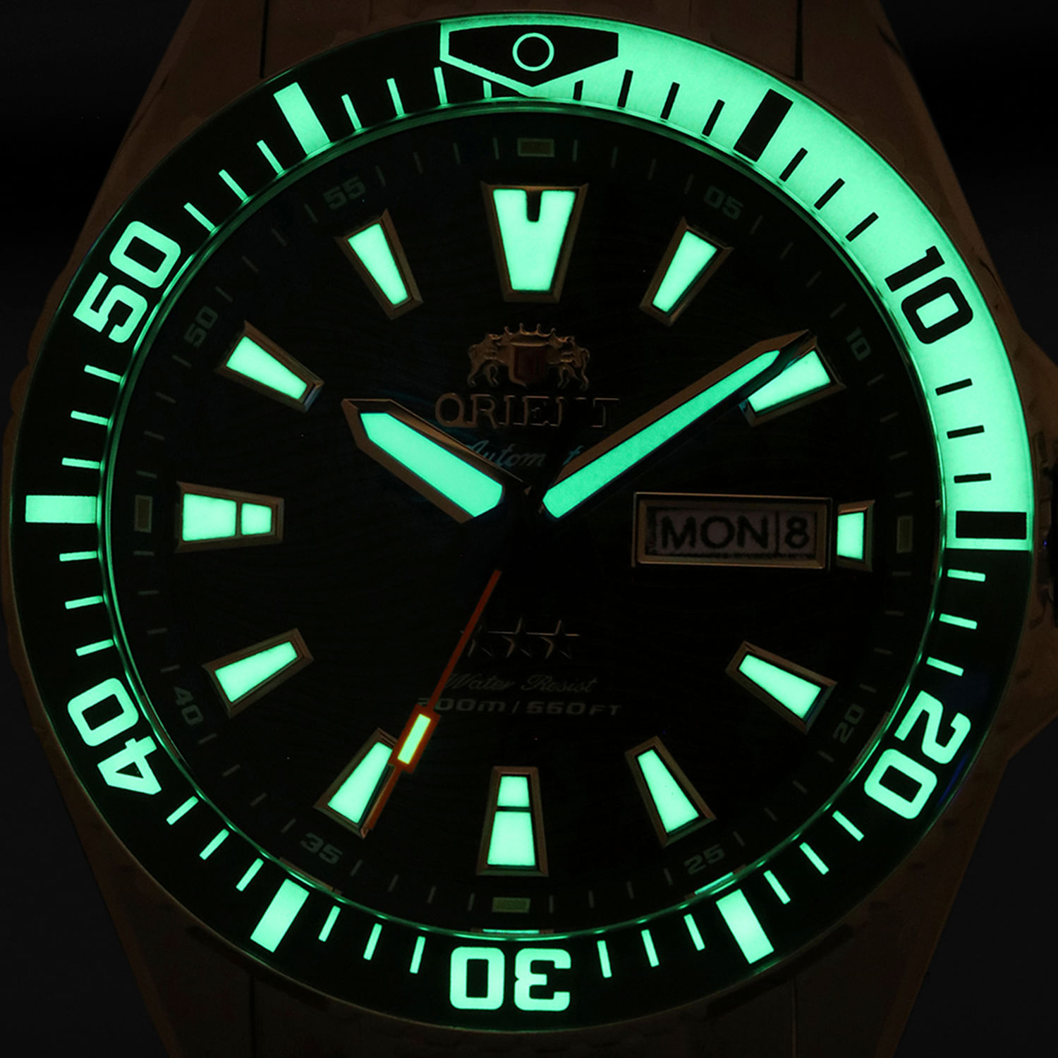 NIM041267_2