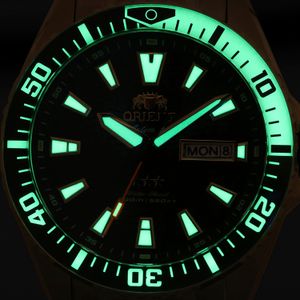 NIM041267_2